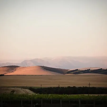 Doran Vineyards Villa Paarl Exterior photo