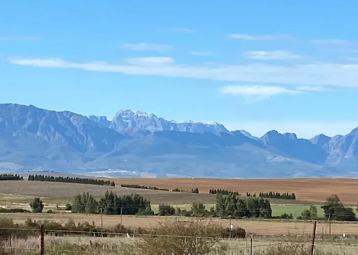 Doran Vineyards