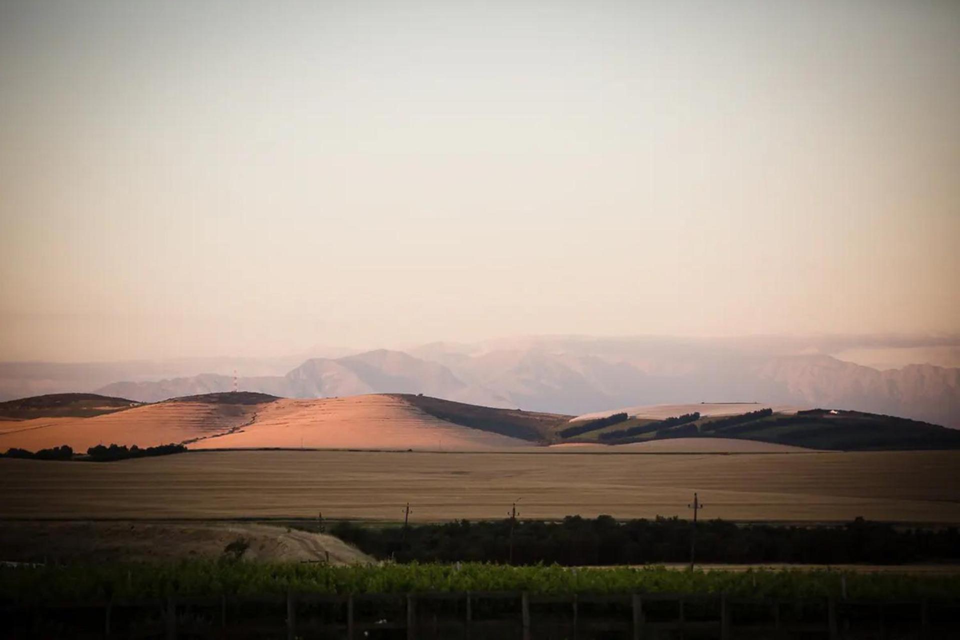 Doran Vineyards *