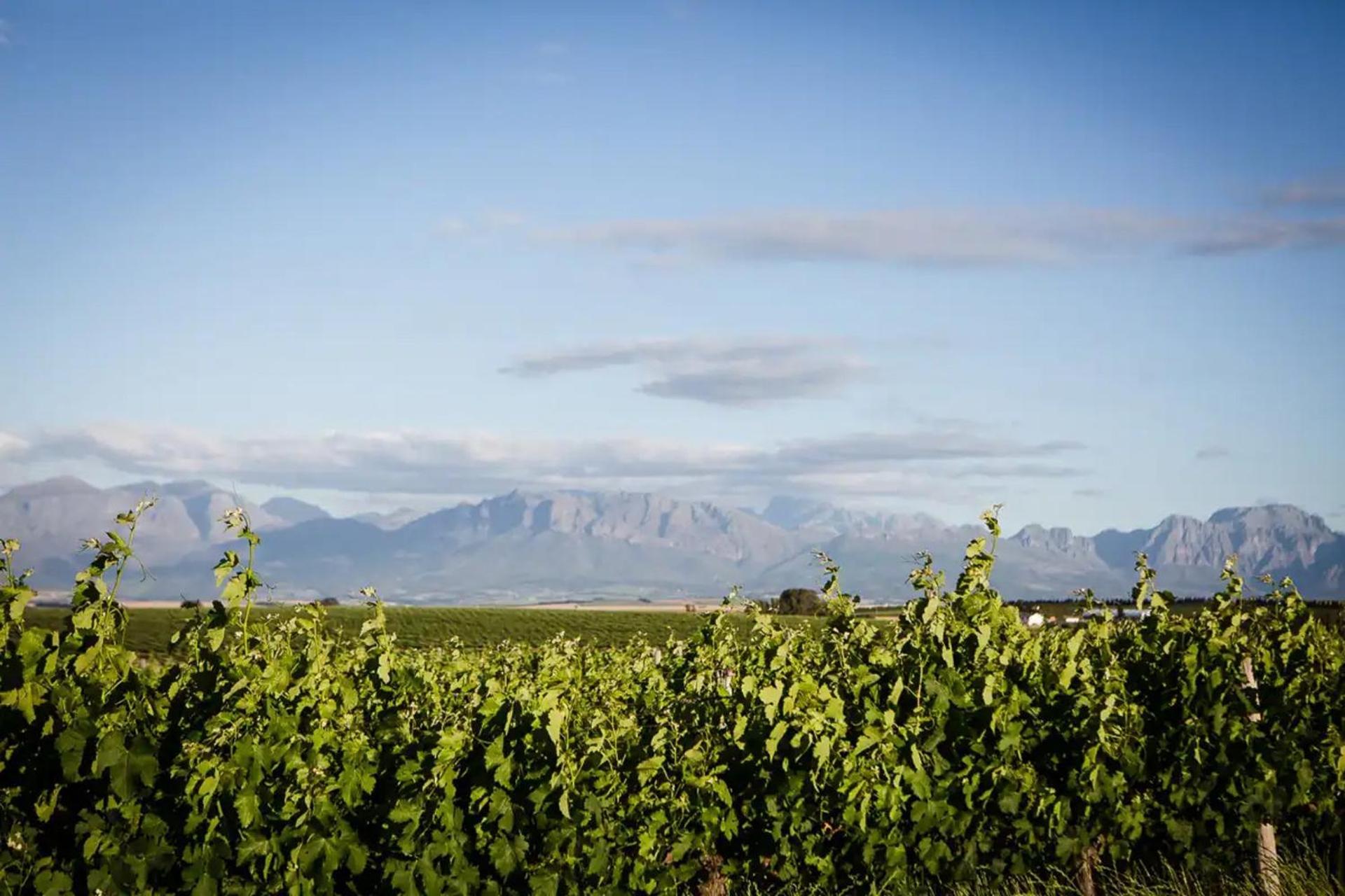 Farm stay Doran Vineyards