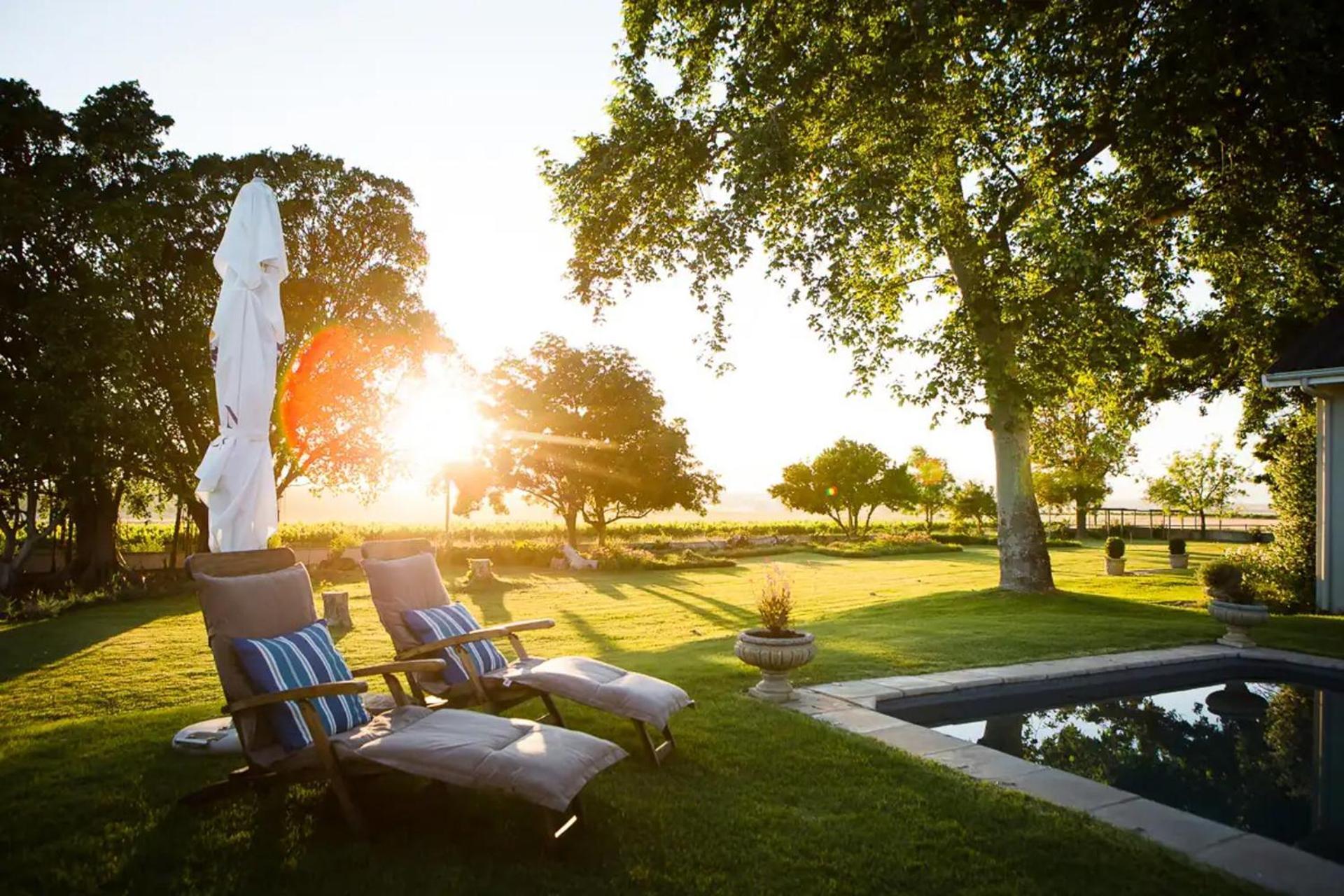 Doran Vineyards Paarl