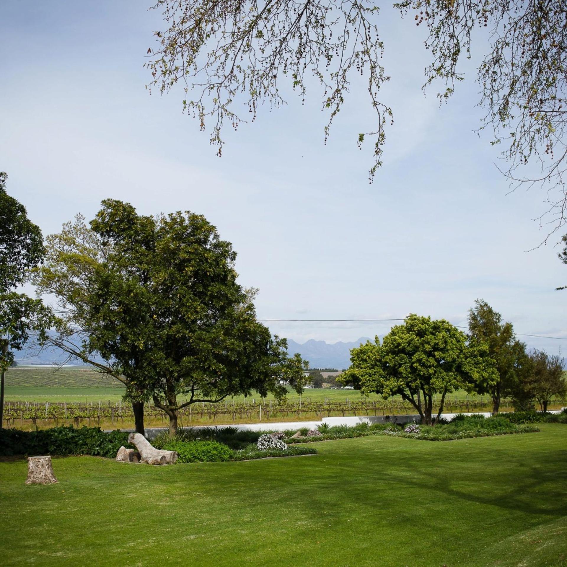 Doran Vineyards