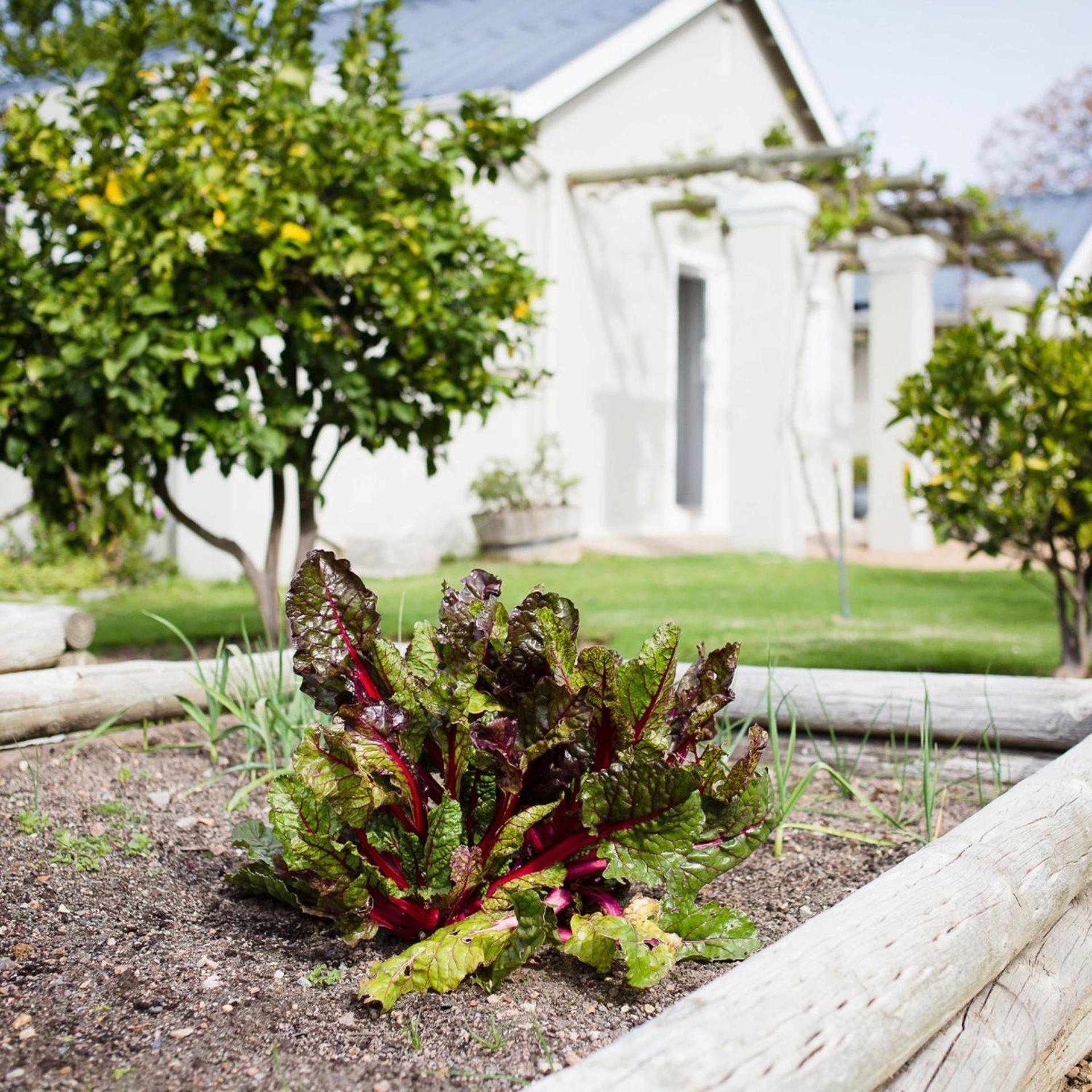 Farm stay Doran Vineyards *
