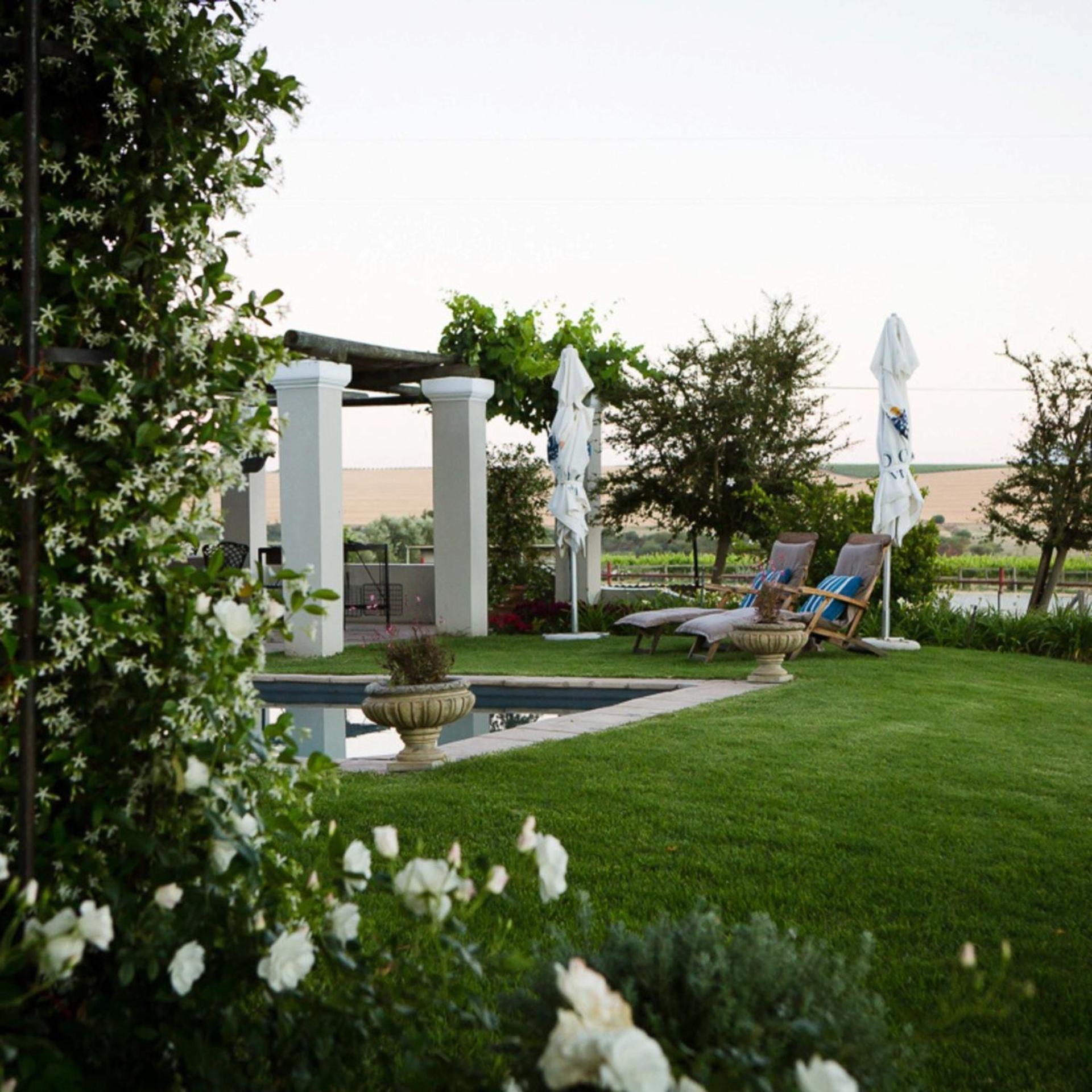 Farm stay Doran Vineyards *
