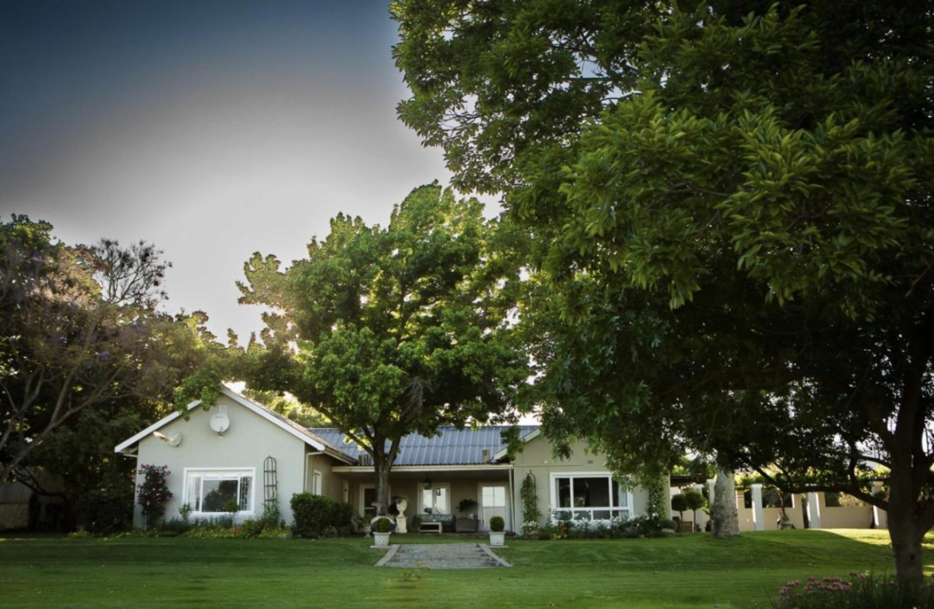 Doran Vineyards * Paarl