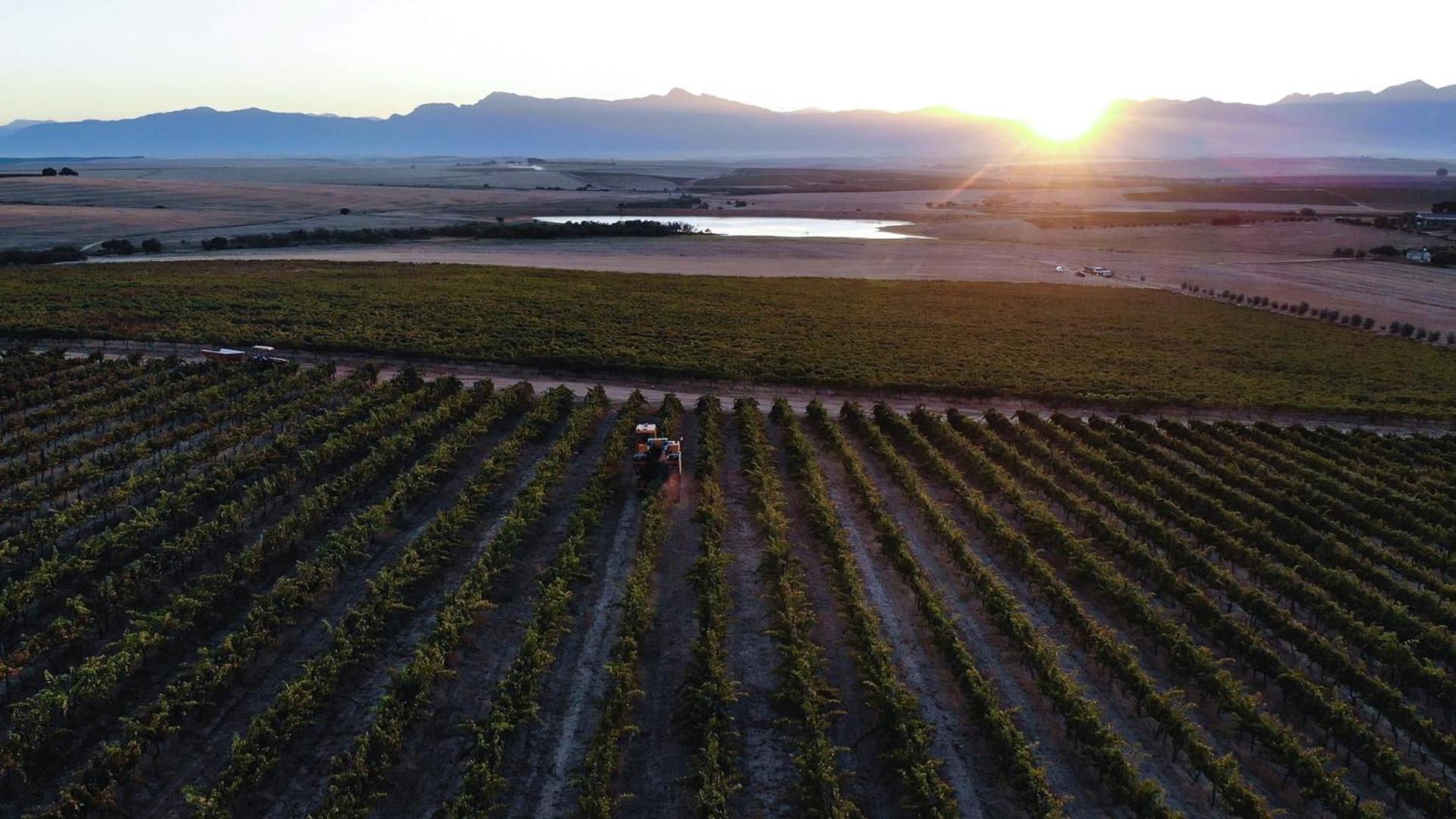 Doran Vineyards Farm stay