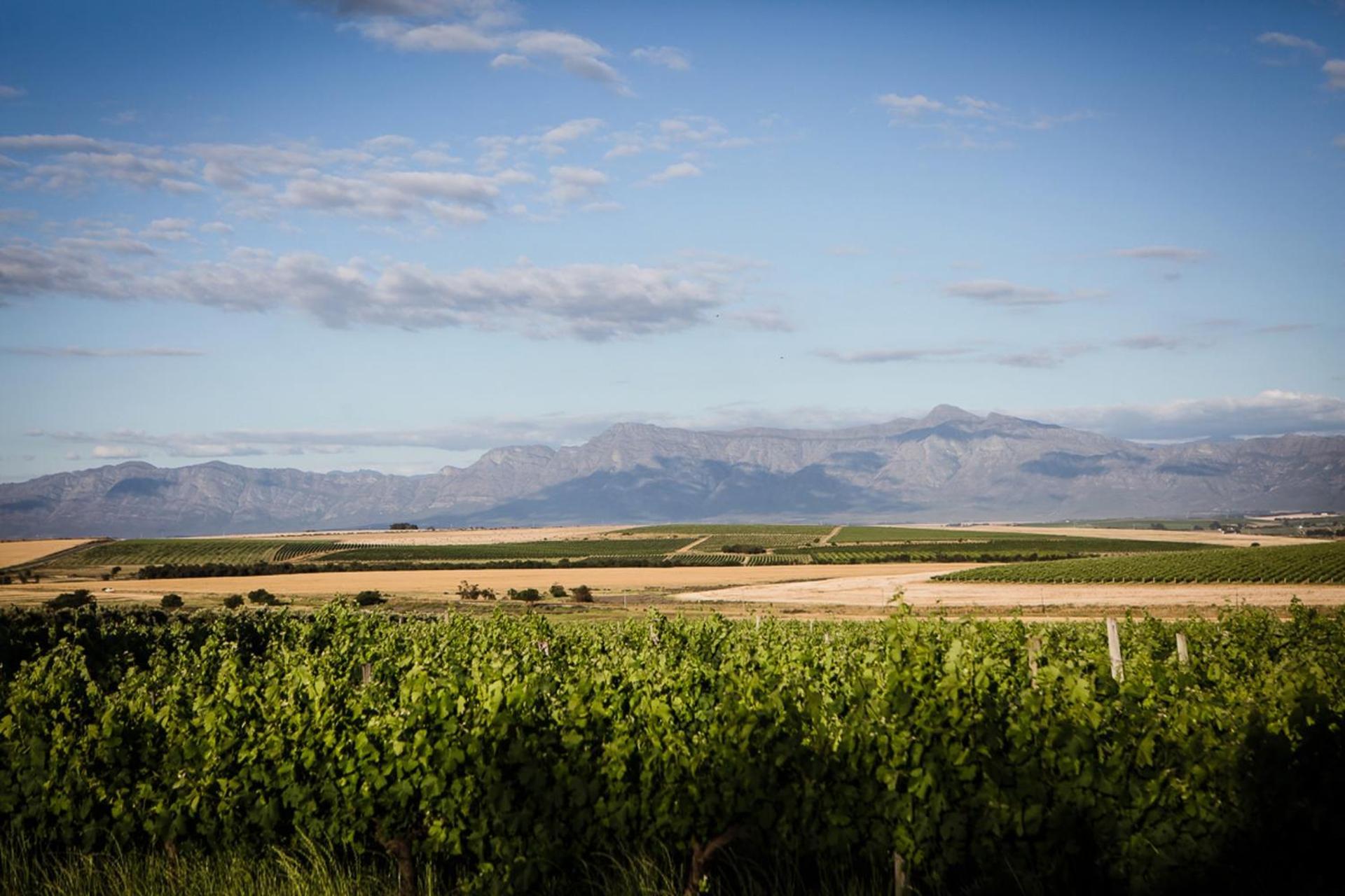 Farm stay Doran Vineyards *