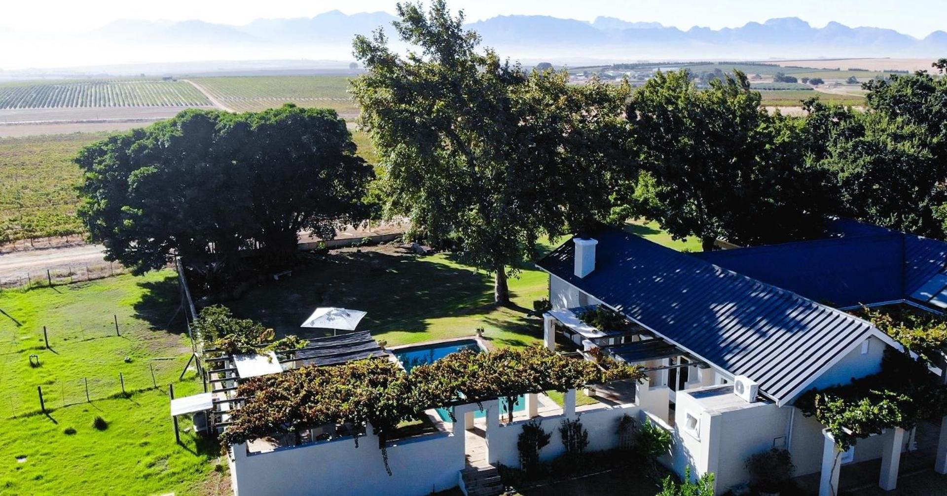 Doran Vineyards Farm stay