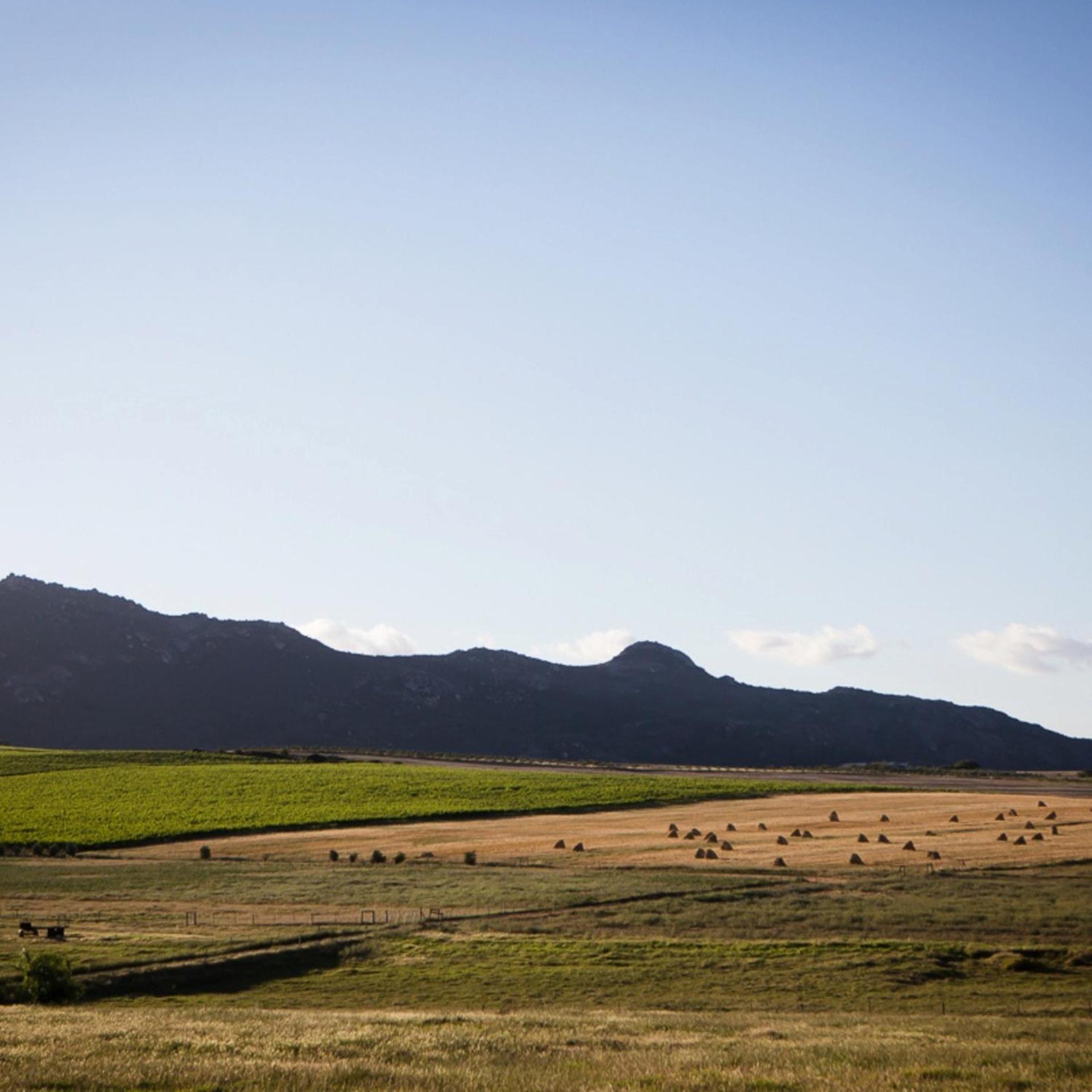 Doran Vineyards Farm stay Paarl