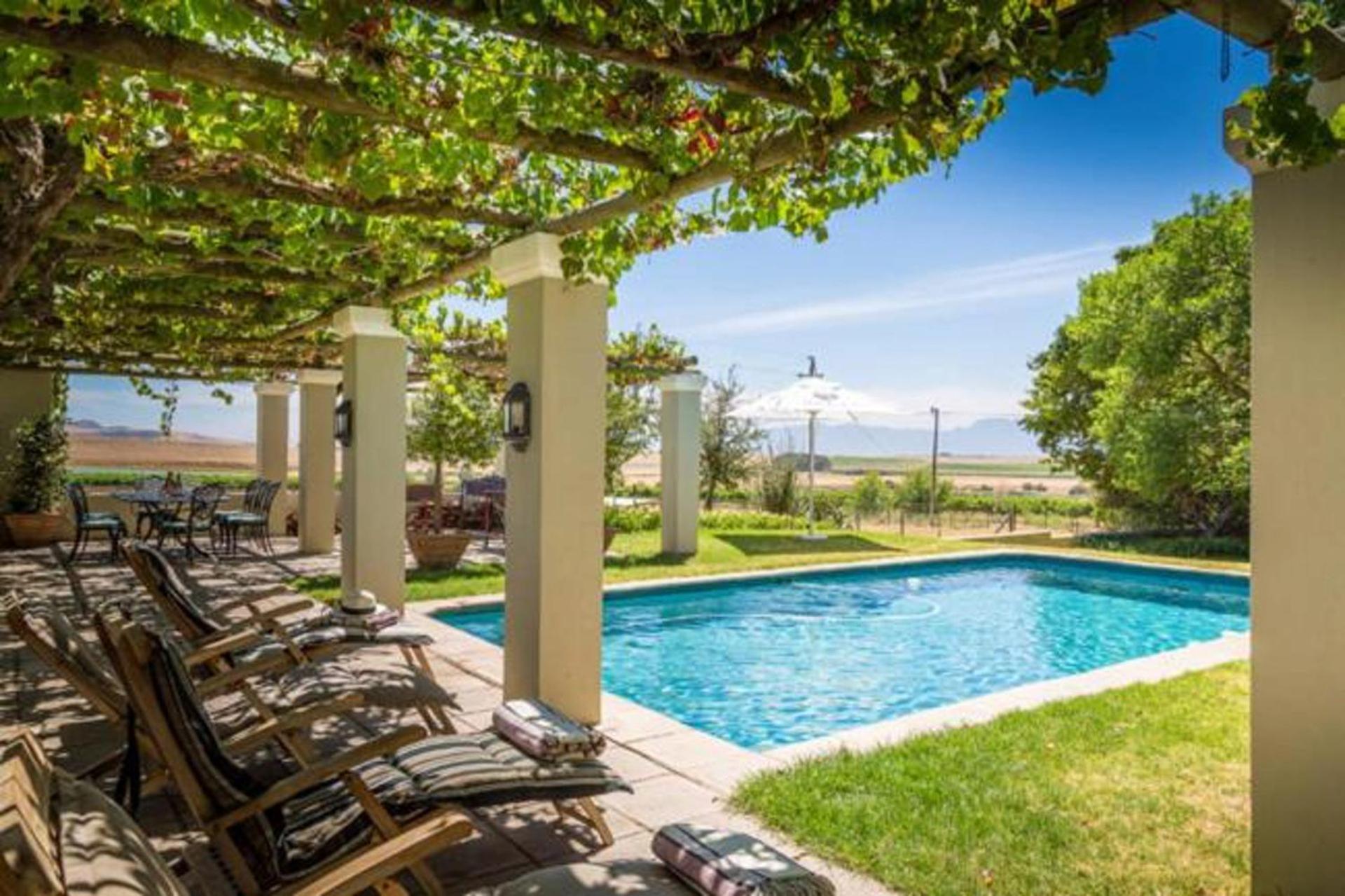 Doran Vineyards * Paarl