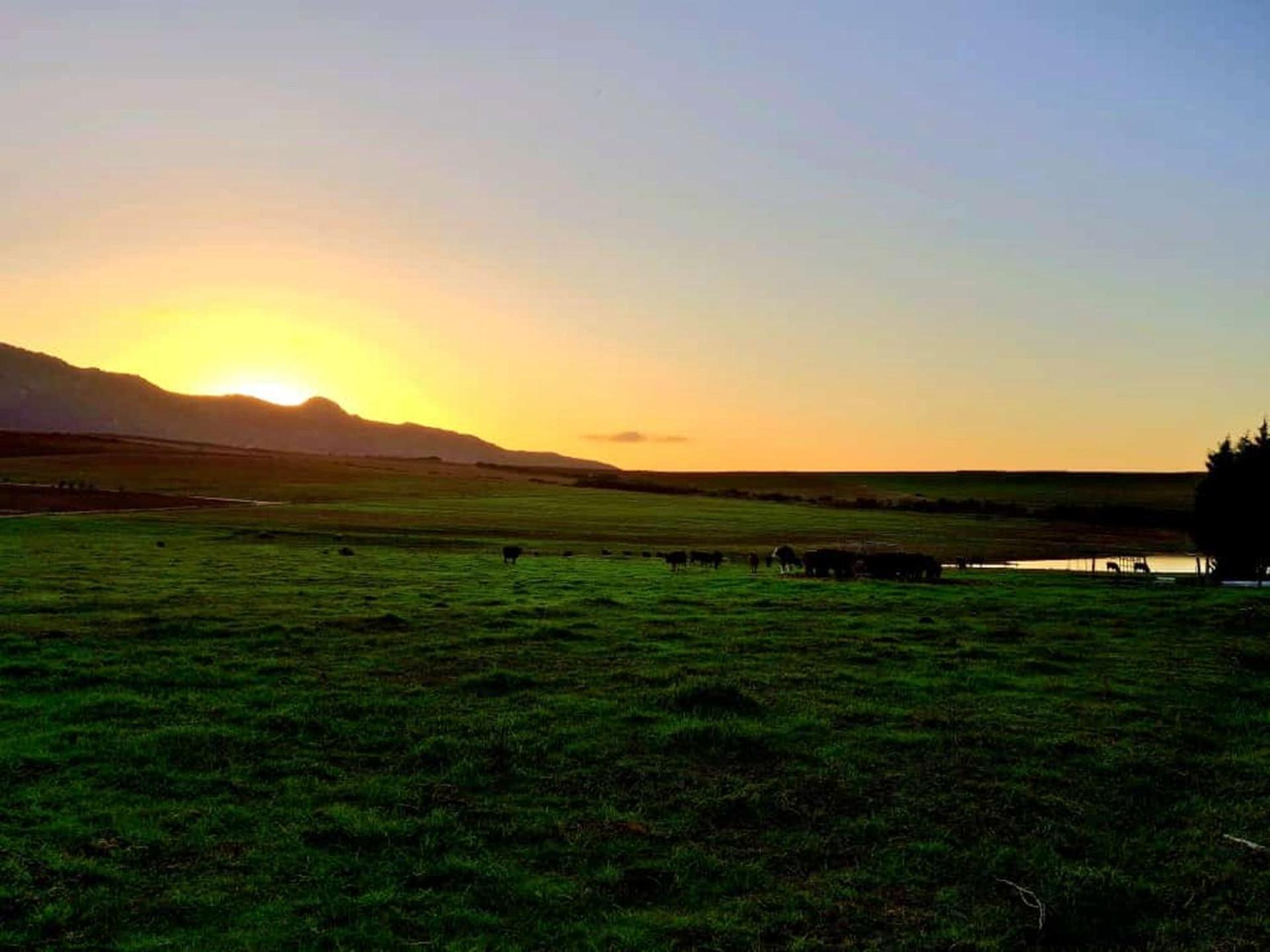 Farm stay Doran Vineyards *