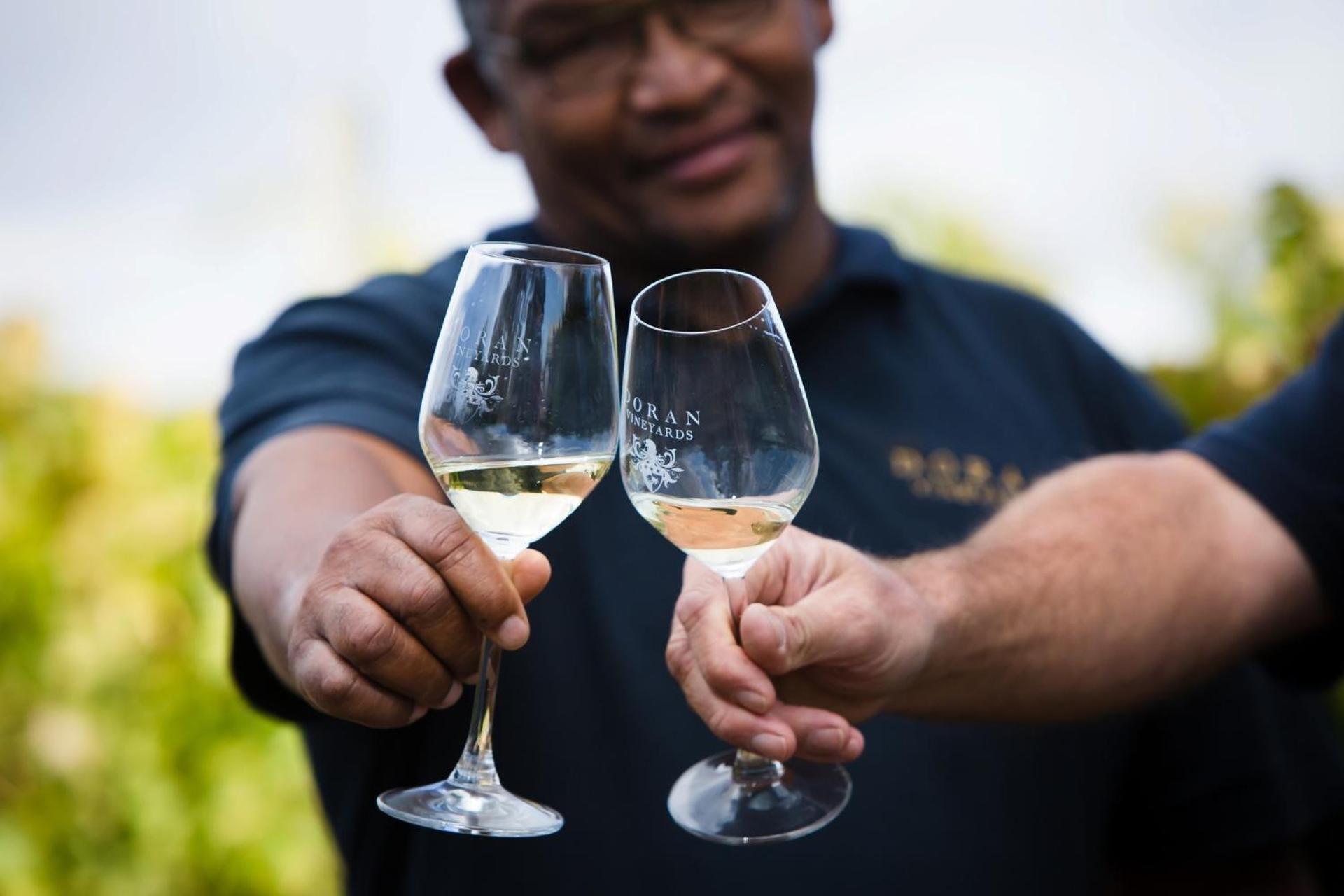 Doran Vineyards Farm stay Paarl