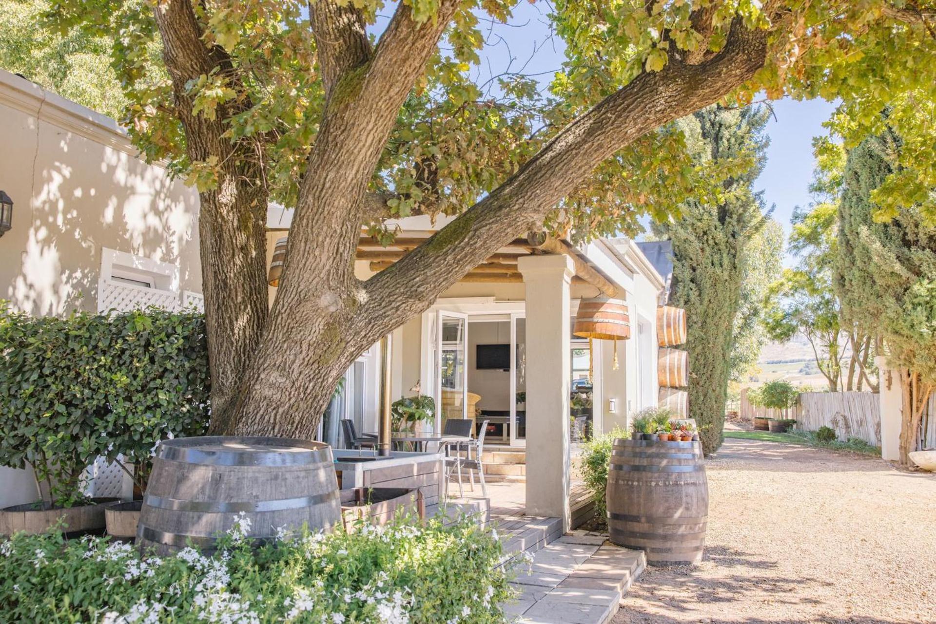 Doran Vineyards * Paarl