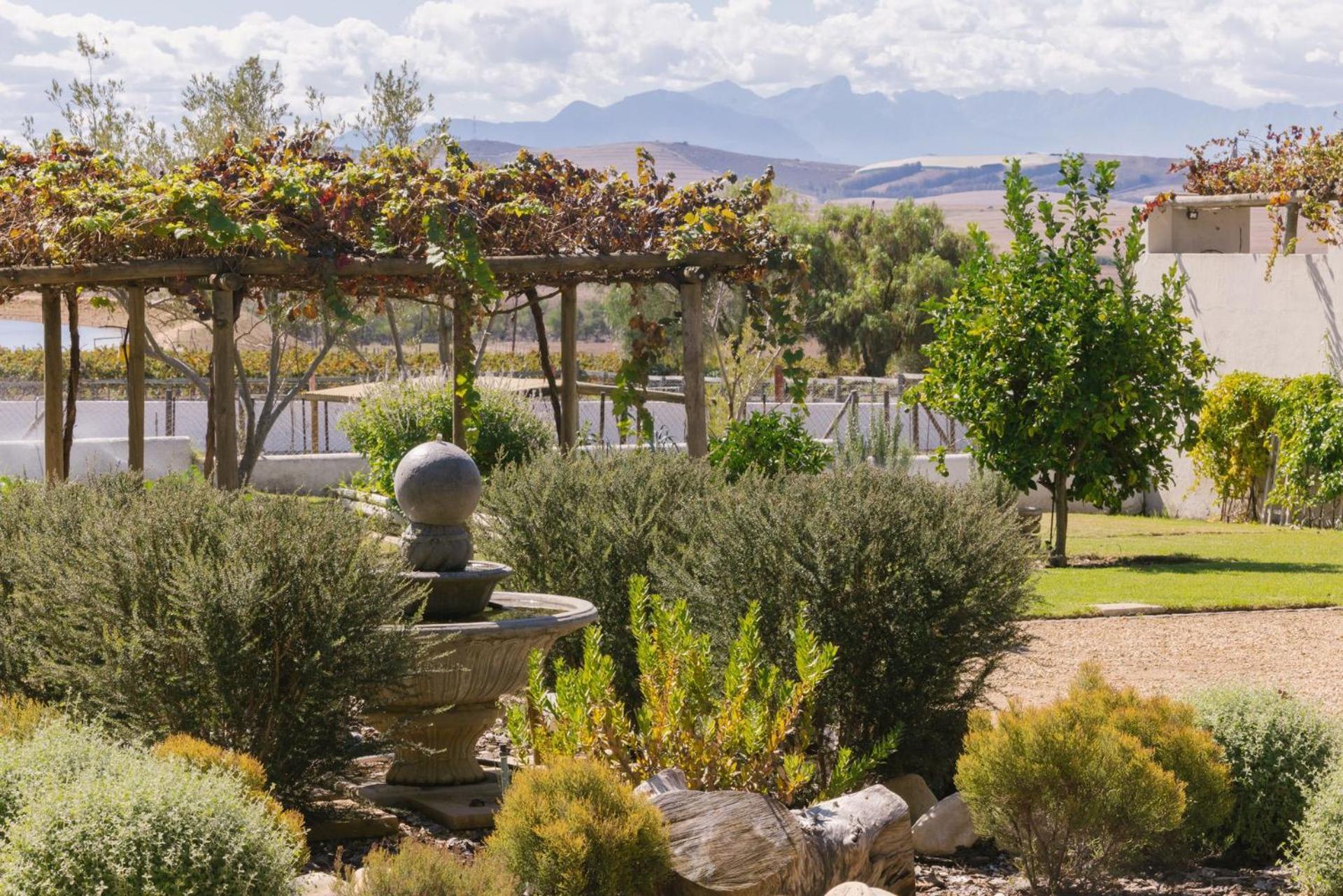 Doran Vineyards Paarl