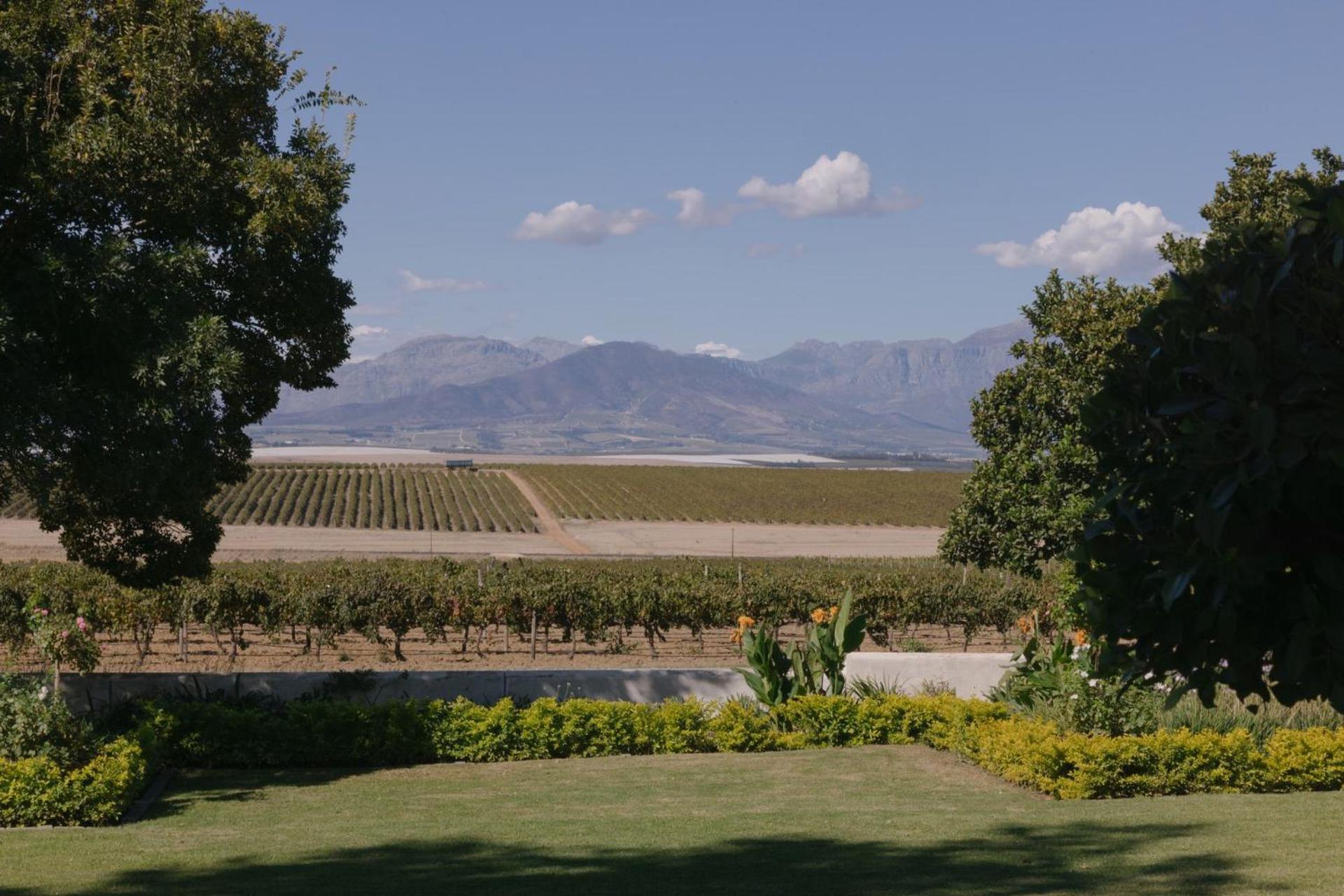 Doran Vineyards *